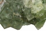 Sea-foam Green, Cubic Fluorite Crystal Cluster - Morocco #164550-1
